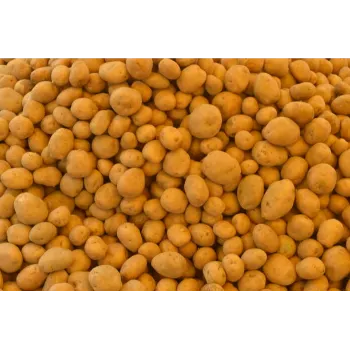 Potato (21)-9986856-13716.webp
